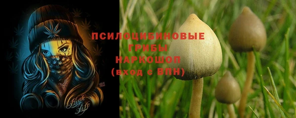 метадон Покачи
