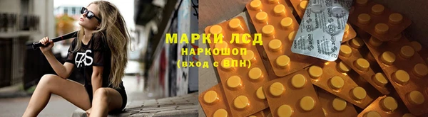 СК Покров
