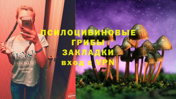 метадон Покачи