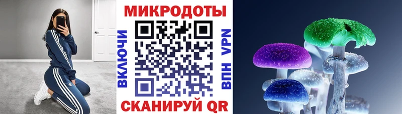 цена наркотик  Сольвычегодск  Галлюциногенные грибы Cubensis 